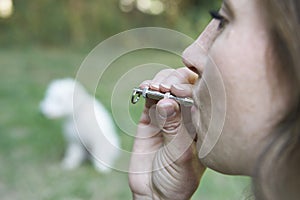 Pet Owner Training Dog Using Whistle