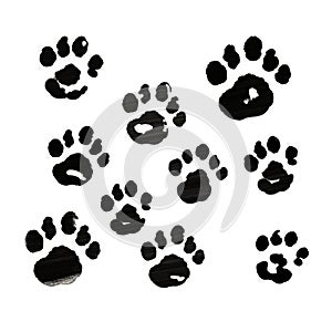 Black Cat Paw Prints: Painted Illustrations Of Ricoh Ff-9d photo