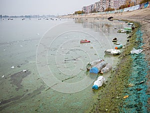 PET plastic bottles and garbage floating on the water of Dambovita lakeLacul Morii in Bucharest, Romania