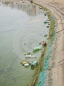 PET plastic bottles and garbage floating on the water of Dambovita lakeLacul Morii in Bucharest, Romania