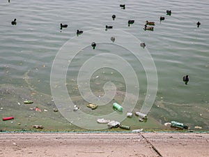 PET plastic bottles and garbage floating on the water of Dambovita lakeLacul Morii in Bucharest, Romania