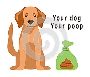 Pet poop in plastic bag isolated on white background. Cute vector illustration labrador retriever. Clean up after your dog poo