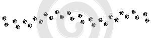 Pet prints. Paw seamless pattern. Border footprints for pets, dog or cat. Foot puppy. Black silhouette shape paw print. Footprint