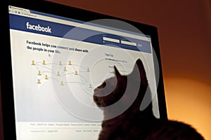 Pet Profile on Facebook