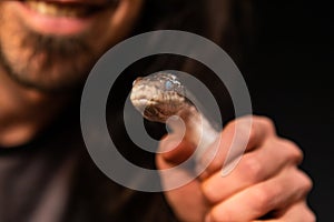 Pet rat snake handled during studio shoot