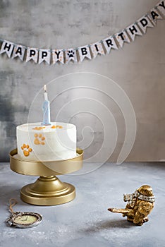 Pet`s birthday. Festive cake with paw prints and candle on gray background. Copy space. Bakery, confectionery, pet shop concept.