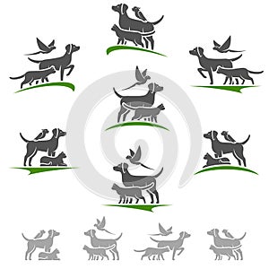 Pet set. Collection icon pets. Vector