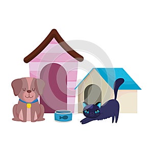 Pet shop, brown dog and cat with houses and food animals domestic cartoon