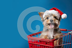 Pet Shop Christmas banner, Dog in Santas hat, shopping cart on blue background, copy space