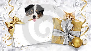 Pet shop Christmas gift card with puppies ginger cat and dog, shiny golden bow, box and balls, background with bright ribbons on