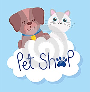 Pet shop, cute little dog and cat cloud paw veterinary clinic food