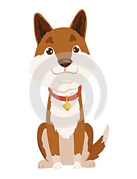 Pet shop icon. Cute little dog. Petshop supermarket. Pet accessory. Vector illustration in flat style clip art photo
