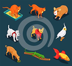 Pet Shop Isometric Icons Set