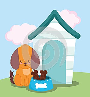 Pet shop, little dog sitting with house bowl bones food animal domestic cartoon