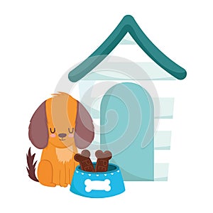 Pet shop, little dog sitting with house bowl bones food animal domestic cartoon