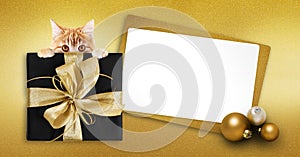 Pet shop merry christmas gift card with ginger cat, box package and white ticket on golden glittering background, copy space