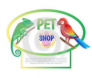 Pet Shop Poster with Animals Vector Illustration photo