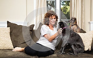 Pet Sitter on Couch Petting Dogs photo