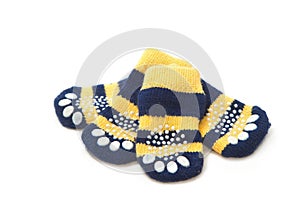 Pet socks ,Pet clothing and accessory