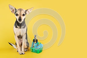 Pet supermarket, dog accessories, happy dog with a shopping cart with pet goods, copy space