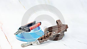 Pet supplies concept. Pet leather leashes and Nail scissors.