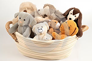 pet toy basket filled with plush and squeaky toys, perfect for playtime