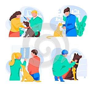 Pet treatment collection. Different veterinarians examine and treat animals. Owners brought for inspection pets