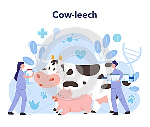 Pet veterinarian concept. Cow-leech, veterinary doctor checking