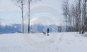 Pet Walk - Dreamy Winter Landscape