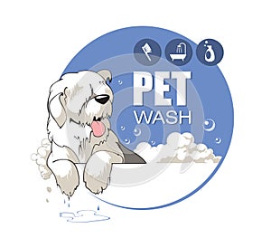 Pet Wash