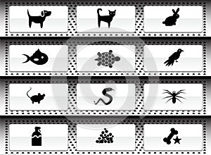 Pet web buttons - black and white