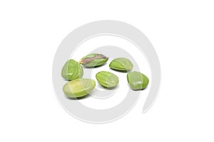 Petai or Bitter bean isolated on white background