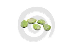 Petai or Bitter bean isolated on white background