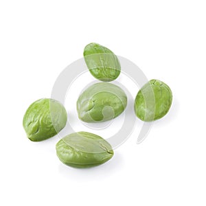 Petai, Bitter Beans isolated on a white background