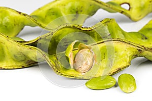 Petai seeds with its seed pods and cluster