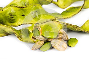 Petai seeds with its seed pods and cluster