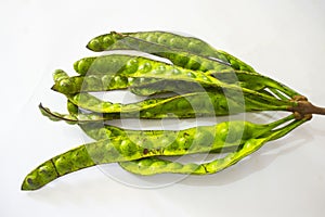 Petai, Twisted cluster bean, Stink bean, Bitter Bean, Parkia speciosa seeds, isolated on white background.