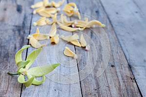 Petal of Climbing Ylang-Ylang, Manorangini, Hara-champa, Kantali