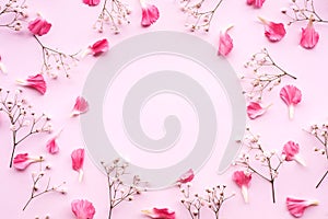 Petal flower on pink background with copy space.Flat lay.