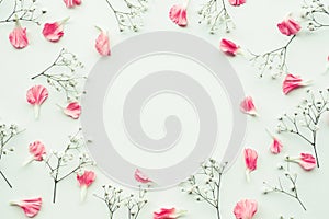 Petal flower on white background with copy space.