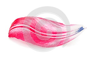 Petal of a tulip. Macro