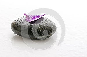 Petal with water drops on a spa stone