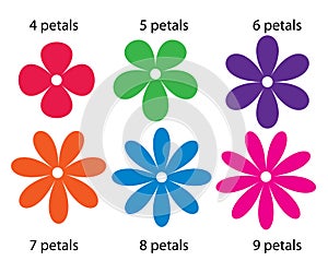 Petals