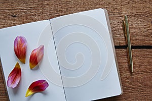 Petals of bloom on blank notebook
