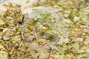 Petals and cons of hop on the surface of homet beer. close up. C