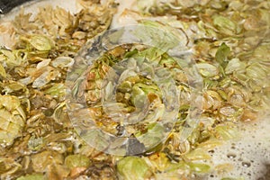Petals and cons of hop on the surface of homet beer. close up. C