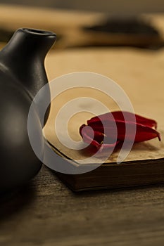 Petals of a flower on old blank open book on wooden background.