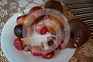 In the petals fresh red Rosy Russula