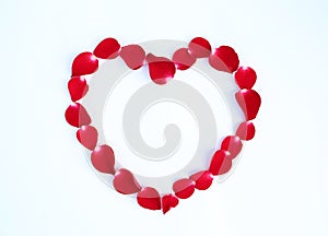 Petals of Red rose flower in heart shape isolated on white background