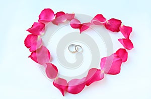 Petals of rose flower in heart shape with couple wedding rings isolated on white background